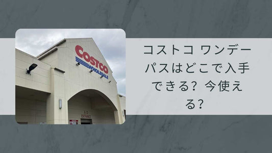 コストコ ワンデーパスはどこで入手できる？今使える？