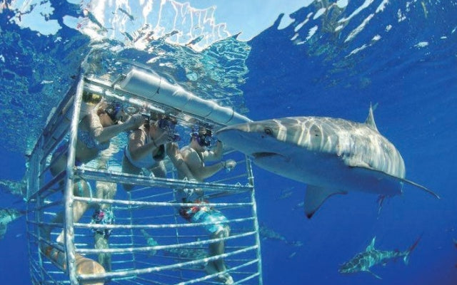 ハワイ・オアフ島のアクティビティ１０選　旅の充実度がＵＰするツアーはコレ！