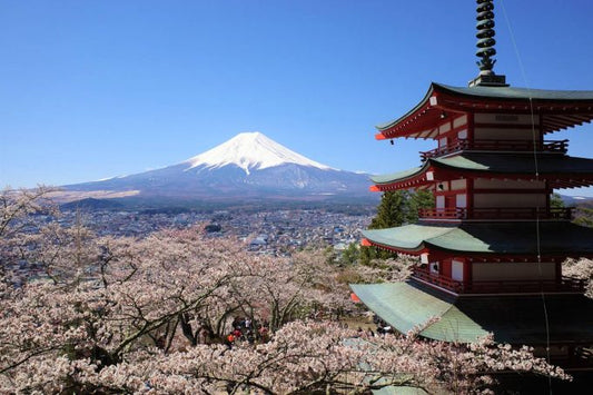 富士山が見える絶景スポットを厳選