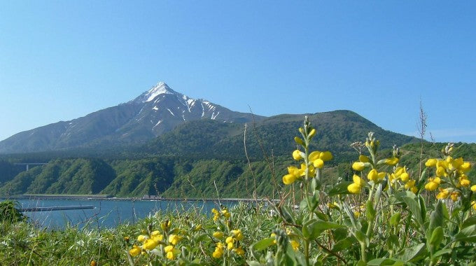 礼文島