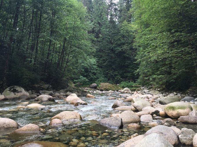Twin Falls Bridge river