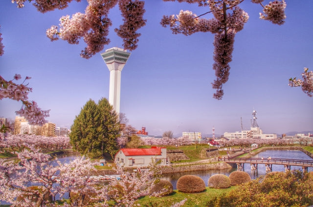 五稜郭公園