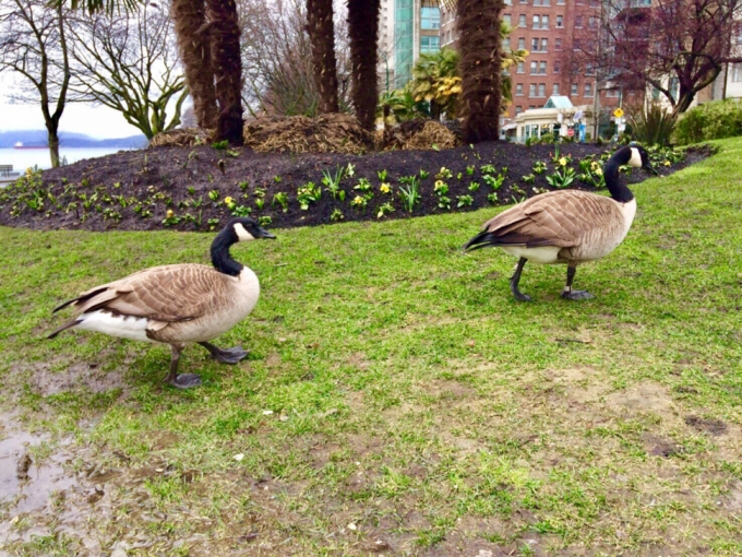 式内追悼公園