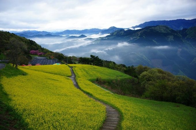 翠波高原2
