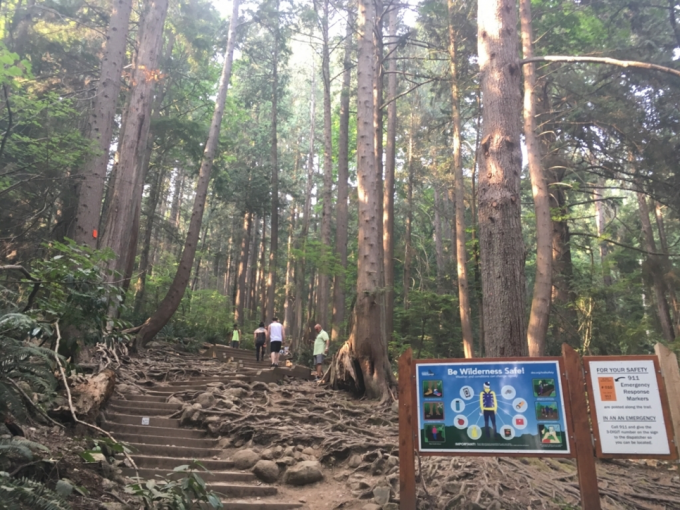 ディープコーブ Deep Cove