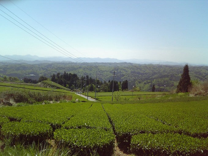 奈良県あるある 奈良