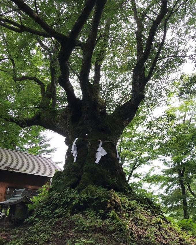 碓氷峠熊野神社
