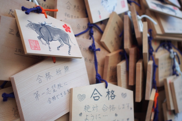 亀山神社は学業成就や交通安全のご利益