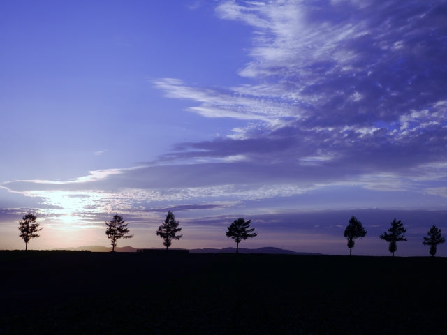 89b89bf7fc327ad63d9e5c1852c0cf3f_s