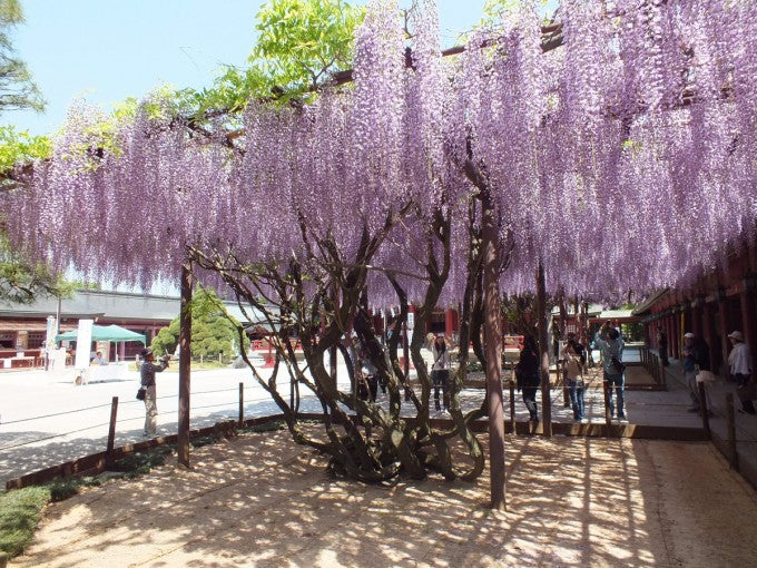 笠間稲荷神社