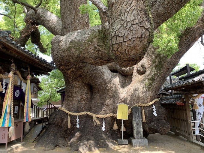 三島神社 大阪