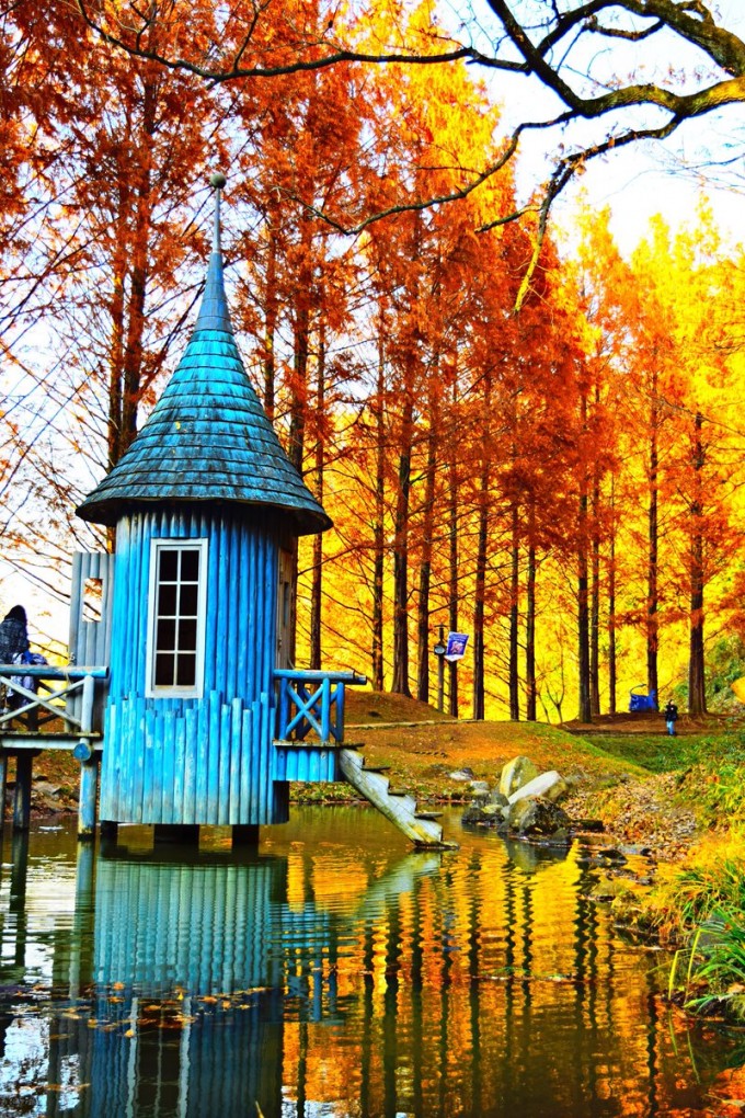 ムーミン谷 紅葉
