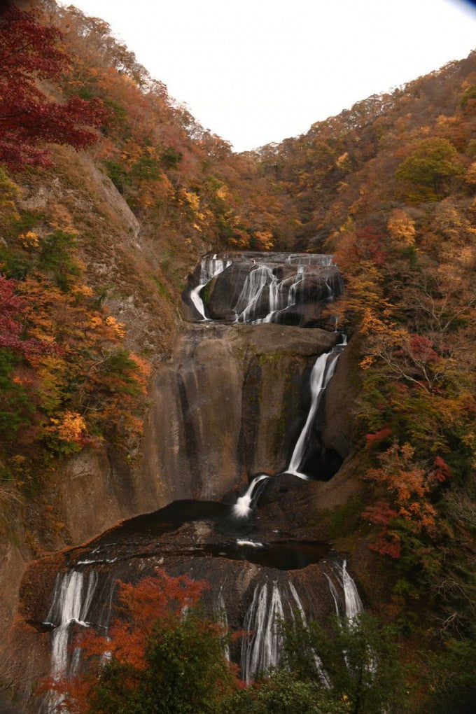 袋田の滝 紅葉