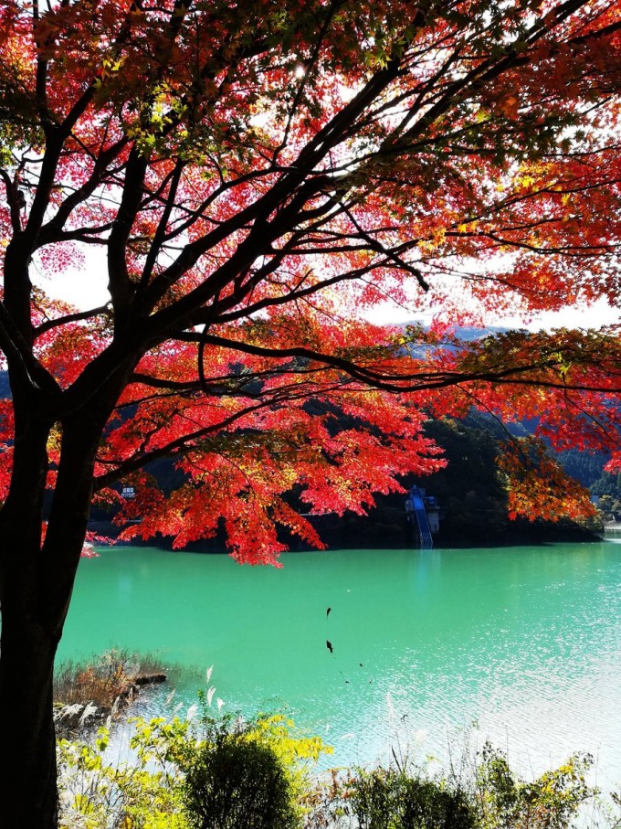 名栗湖