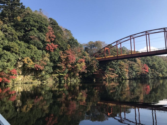 亀山ダム 紅葉