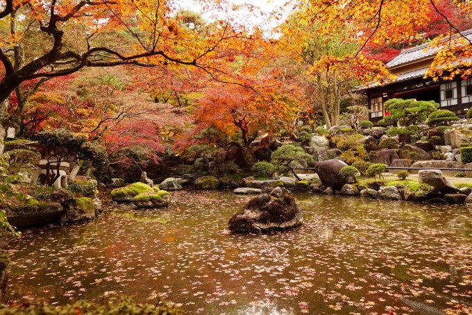 徳明園 紅葉