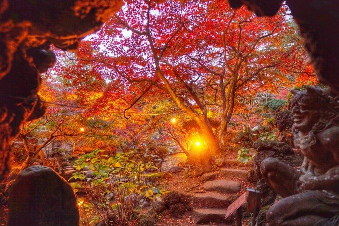 徳明園 紅葉