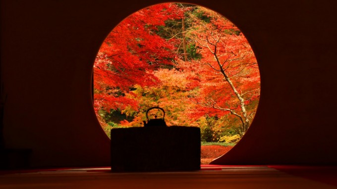 明月院 紅葉