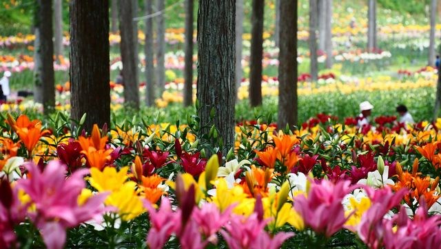 大垣市 観光スポット 谷汲山華厳寺