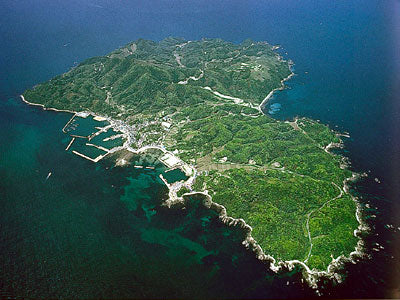 大島