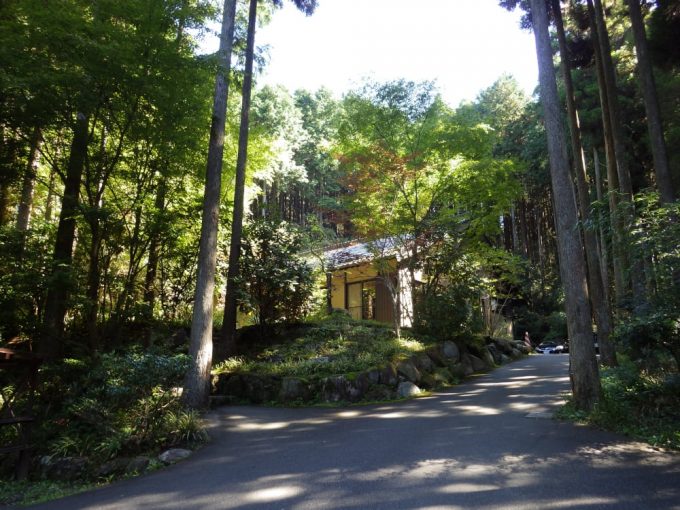 無声