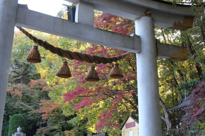 寳登山神社 紅葉