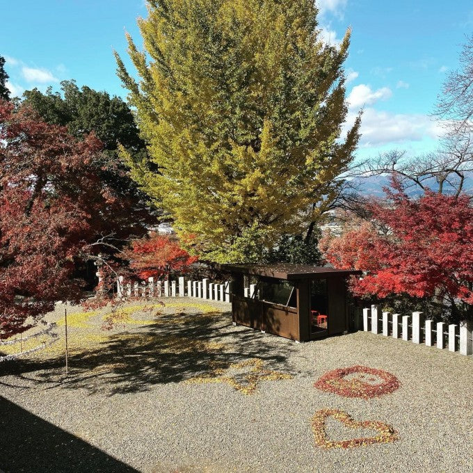 少林山達磨寺 紅葉