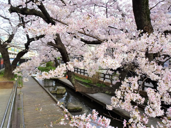 二ヶ領用水宿河原堀
