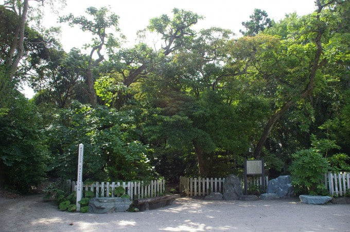 天津神明宮