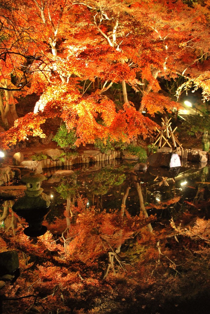 鎌倉 長谷寺 紅葉