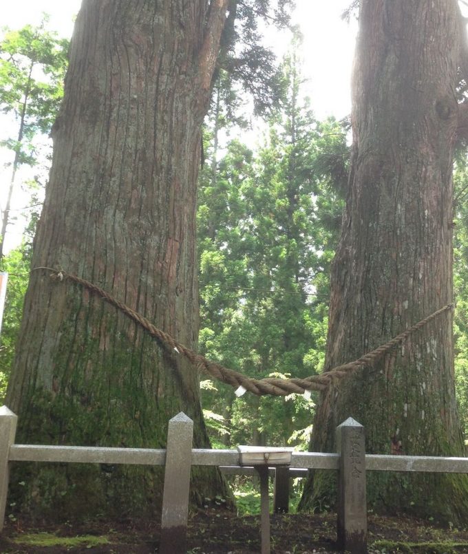 岩手 パワースポット 岩手山神社 夫婦杉