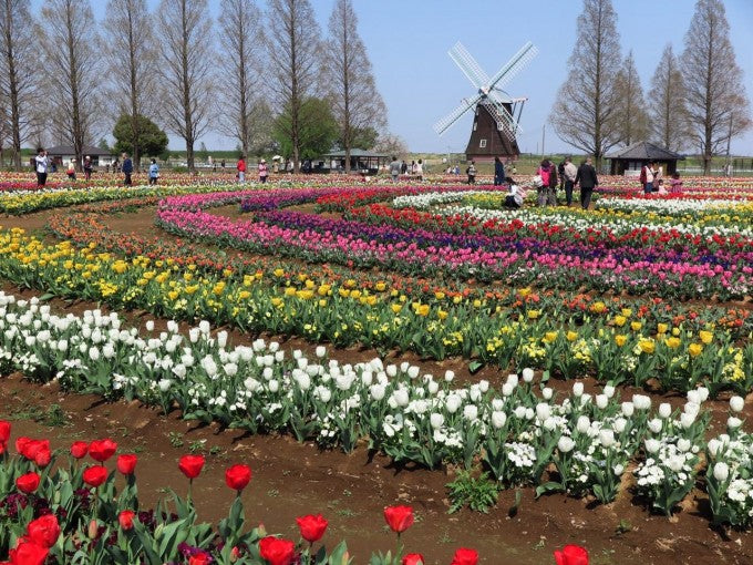 あけぼの山農業公園