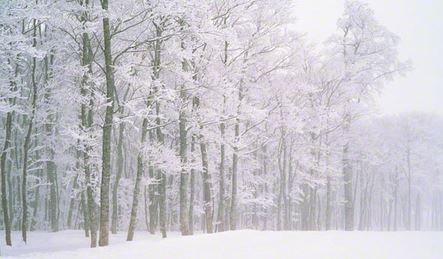 雪が降る前日の寒さは尋常